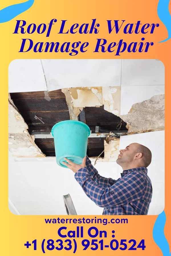 Roof Leak Water Damage Repair in Cyr, MT